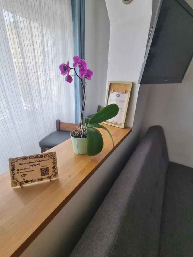 Dream Studio Petroszany Zewnętrze zdjęcie